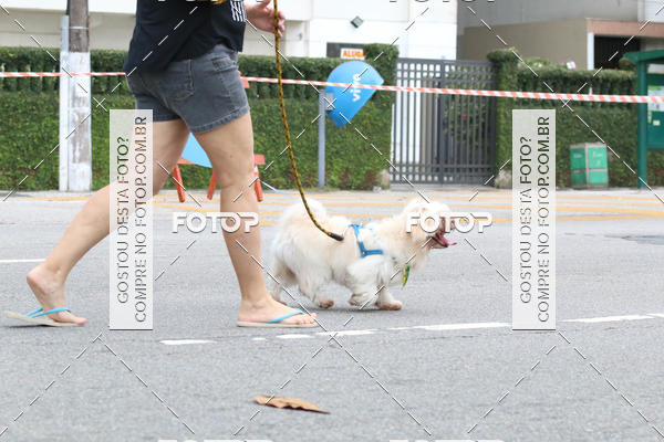 Buy your photos of the event13� C�ominhada - Santos on Fotop