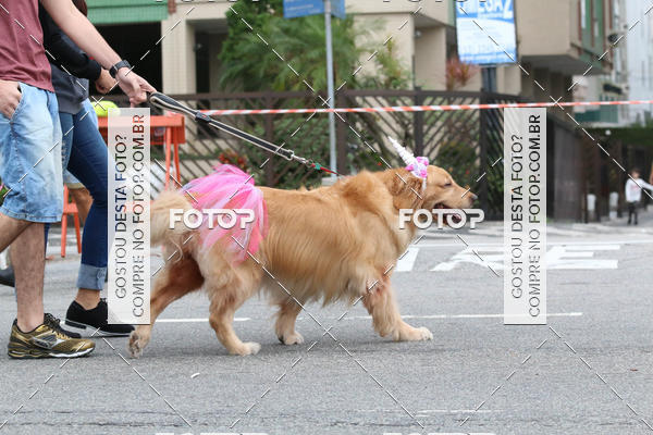 Buy your photos of the event13� C�ominhada - Santos on Fotop