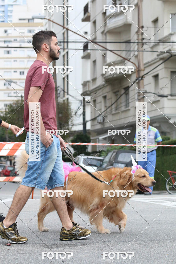 Buy your photos of the event13� C�ominhada - Santos on Fotop