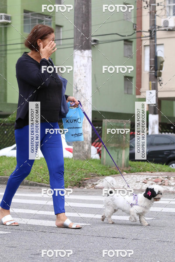 Buy your photos of the event13� C�ominhada - Santos on Fotop