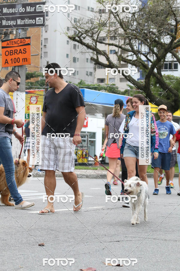 Buy your photos of the event13� C�ominhada - Santos on Fotop