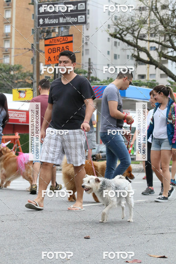 Buy your photos of the event13� C�ominhada - Santos on Fotop