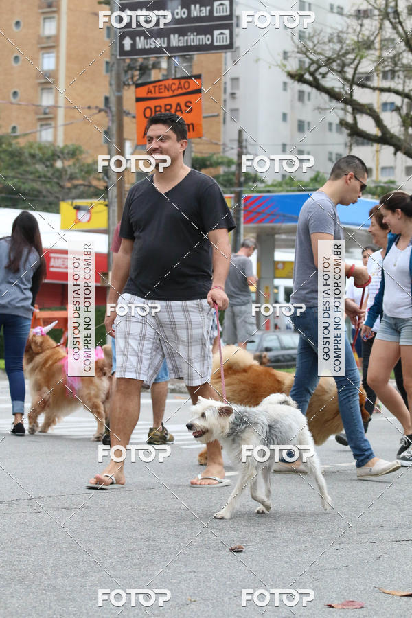 Buy your photos of the event13� C�ominhada - Santos on Fotop