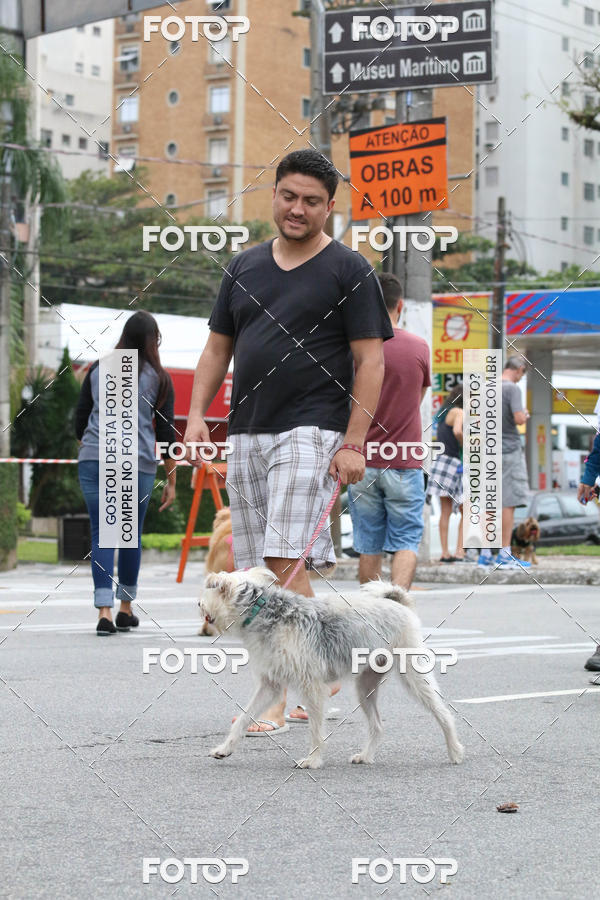 Buy your photos of the event13� C�ominhada - Santos on Fotop