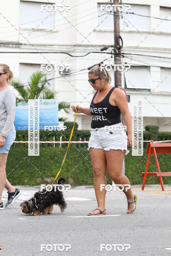 Buy your photos of the event13� C�ominhada - Santos on Fotop