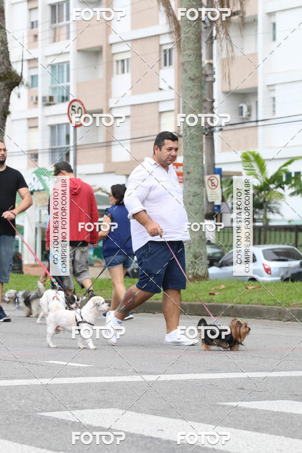 Buy your photos of the event13� C�ominhada - Santos on Fotop