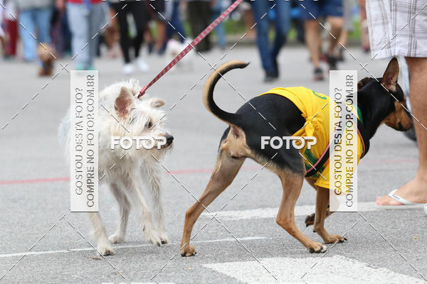 Buy your photos of the event13� C�ominhada - Santos on Fotop