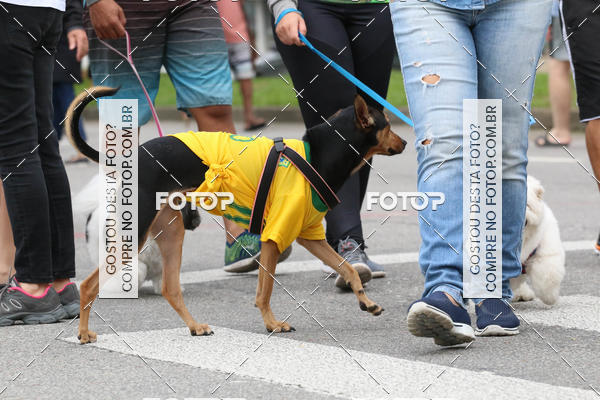 Buy your photos of the event13� C�ominhada - Santos on Fotop