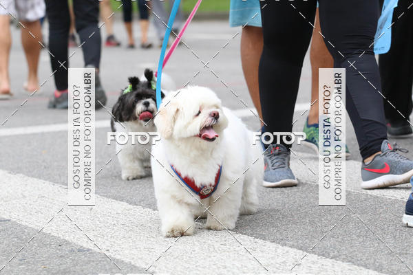 Buy your photos of the event13� C�ominhada - Santos on Fotop