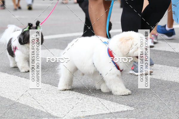 Buy your photos of the event13� C�ominhada - Santos on Fotop