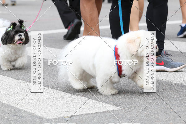 Buy your photos of the event13� C�ominhada - Santos on Fotop