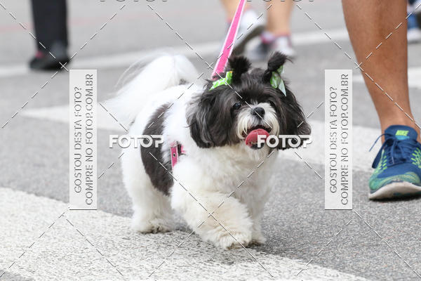 Buy your photos of the event13� C�ominhada - Santos on Fotop