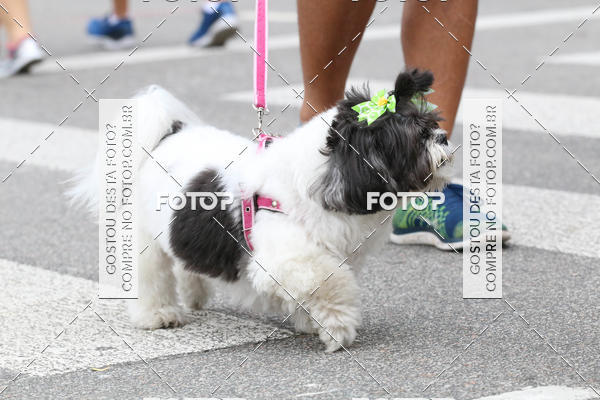 Buy your photos of the event13� C�ominhada - Santos on Fotop