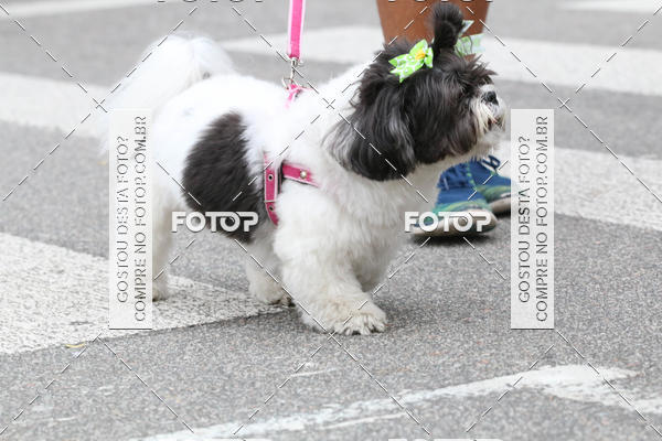 Buy your photos of the event13� C�ominhada - Santos on Fotop