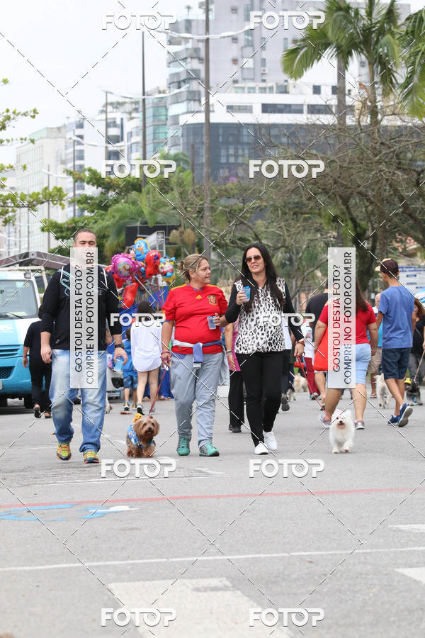 Buy your photos of the event13� C�ominhada - Santos on Fotop