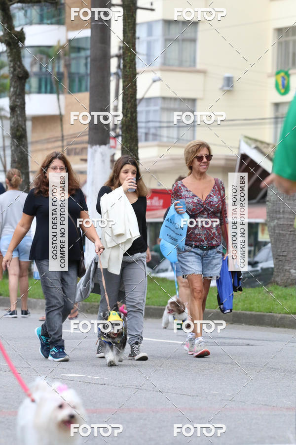 Buy your photos of the event13� C�ominhada - Santos on Fotop