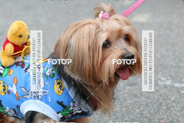 Buy your photos of the event13� C�ominhada - Santos on Fotop