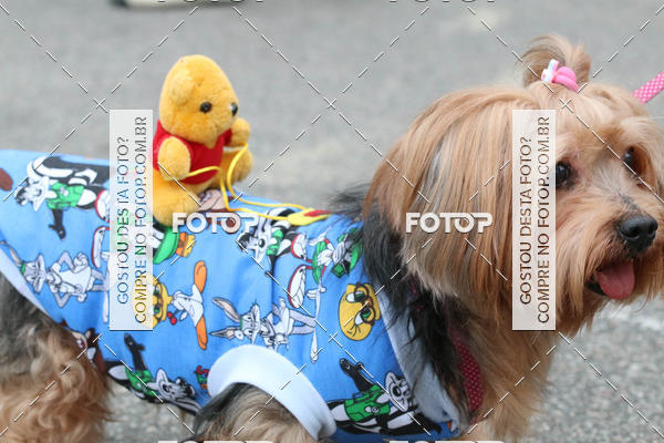 Buy your photos of the event13� C�ominhada - Santos on Fotop