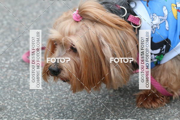 Buy your photos of the event13� C�ominhada - Santos on Fotop