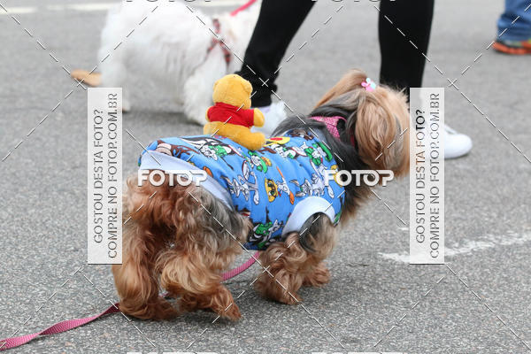 Buy your photos of the event13� C�ominhada - Santos on Fotop