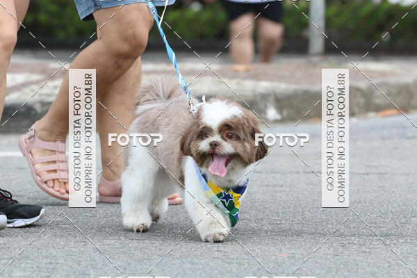 Buy your photos of the event13� C�ominhada - Santos on Fotop