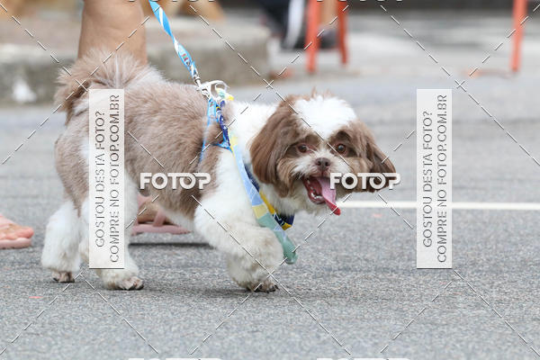 Buy your photos of the event13� C�ominhada - Santos on Fotop