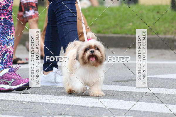 Buy your photos of the event13� C�ominhada - Santos on Fotop