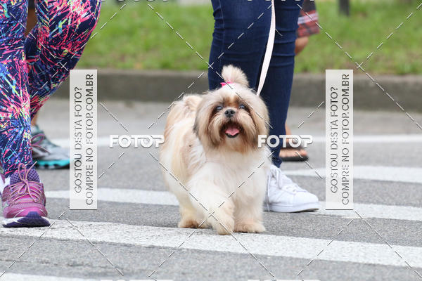 Buy your photos of the event13� C�ominhada - Santos on Fotop