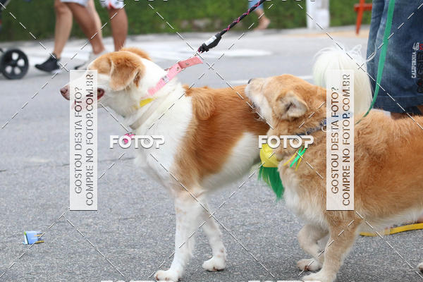 Buy your photos of the event13� C�ominhada - Santos on Fotop