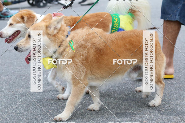 Buy your photos of the event13� C�ominhada - Santos on Fotop