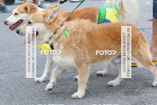 Buy your photos of the event13� C�ominhada - Santos on Fotop