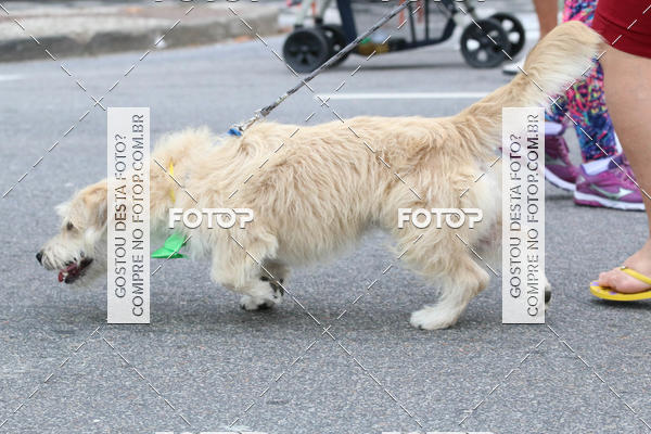 Buy your photos of the event13� C�ominhada - Santos on Fotop