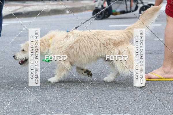 Buy your photos of the event13� C�ominhada - Santos on Fotop