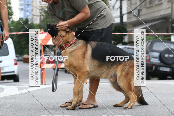 Buy your photos of the event13� C�ominhada - Santos on Fotop