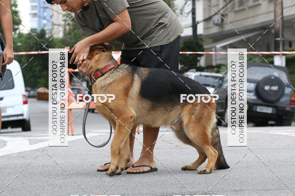 Buy your photos of the event13� C�ominhada - Santos on Fotop