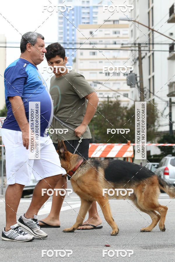 Buy your photos of the event13� C�ominhada - Santos on Fotop