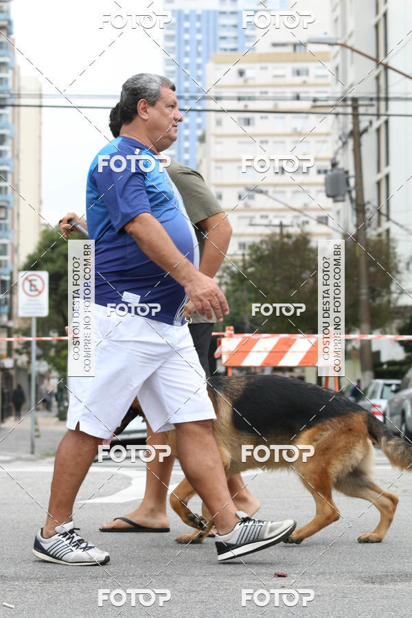 Buy your photos of the event13� C�ominhada - Santos on Fotop