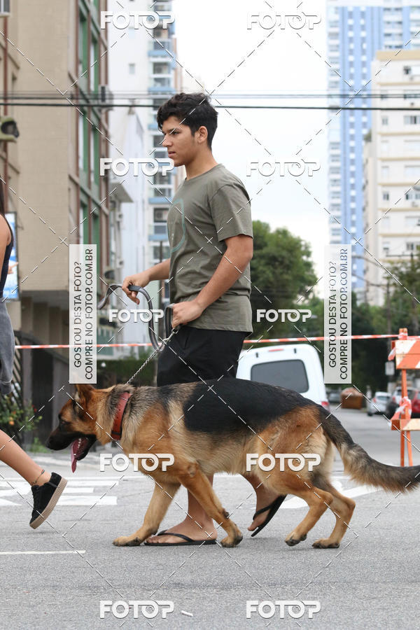 Buy your photos of the event13� C�ominhada - Santos on Fotop