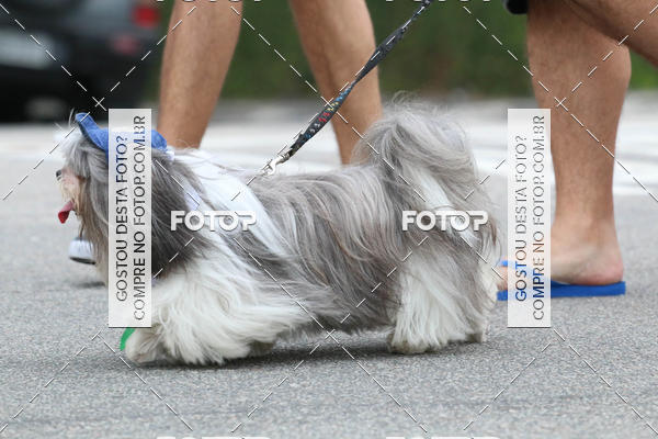 Buy your photos of the event13� C�ominhada - Santos on Fotop