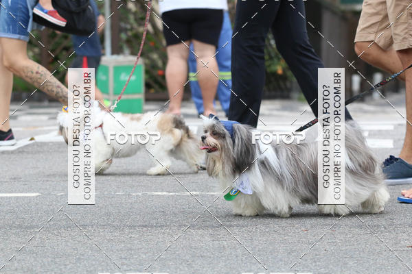 Buy your photos of the event13� C�ominhada - Santos on Fotop