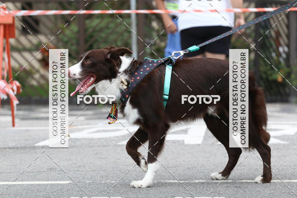 Buy your photos of the event13� C�ominhada - Santos on Fotop