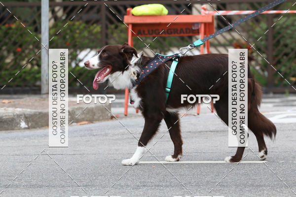 Buy your photos of the event13� C�ominhada - Santos on Fotop