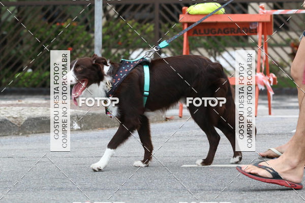 Buy your photos of the event13� C�ominhada - Santos on Fotop