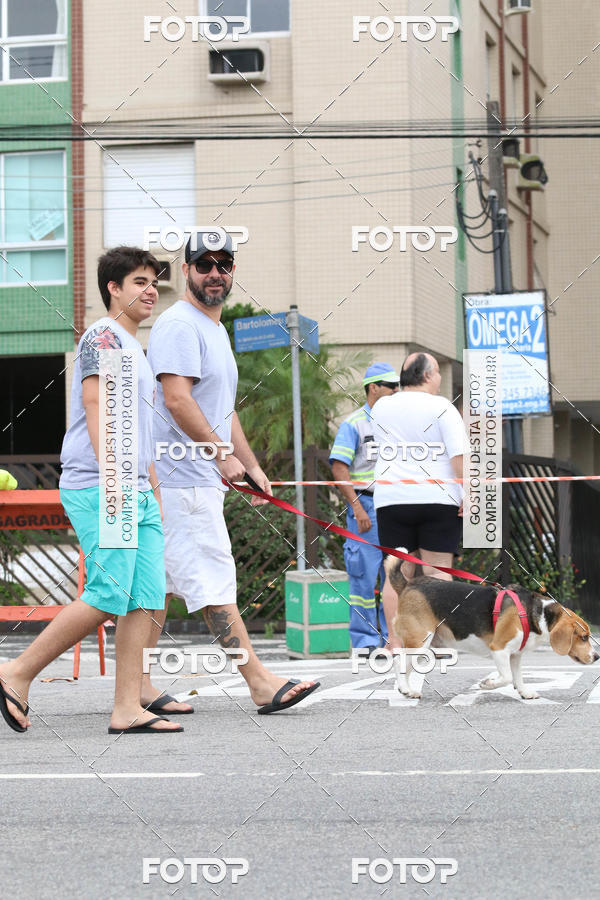 Buy your photos of the event13� C�ominhada - Santos on Fotop