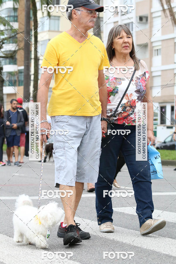 Buy your photos of the event13� C�ominhada - Santos on Fotop