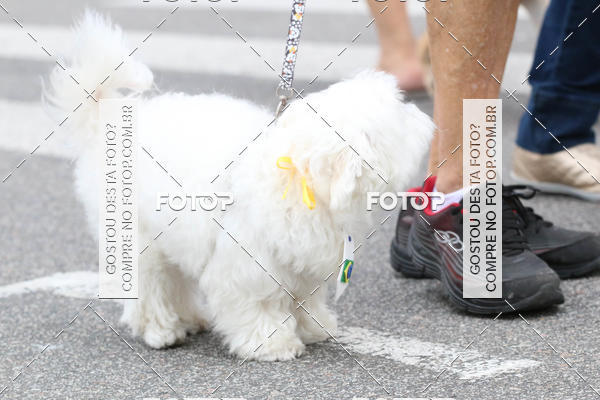 Buy your photos of the event13� C�ominhada - Santos on Fotop