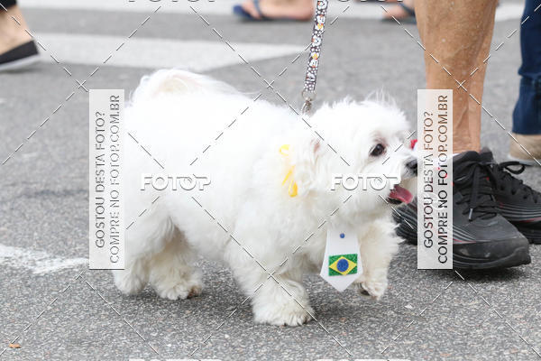 Buy your photos of the event13� C�ominhada - Santos on Fotop