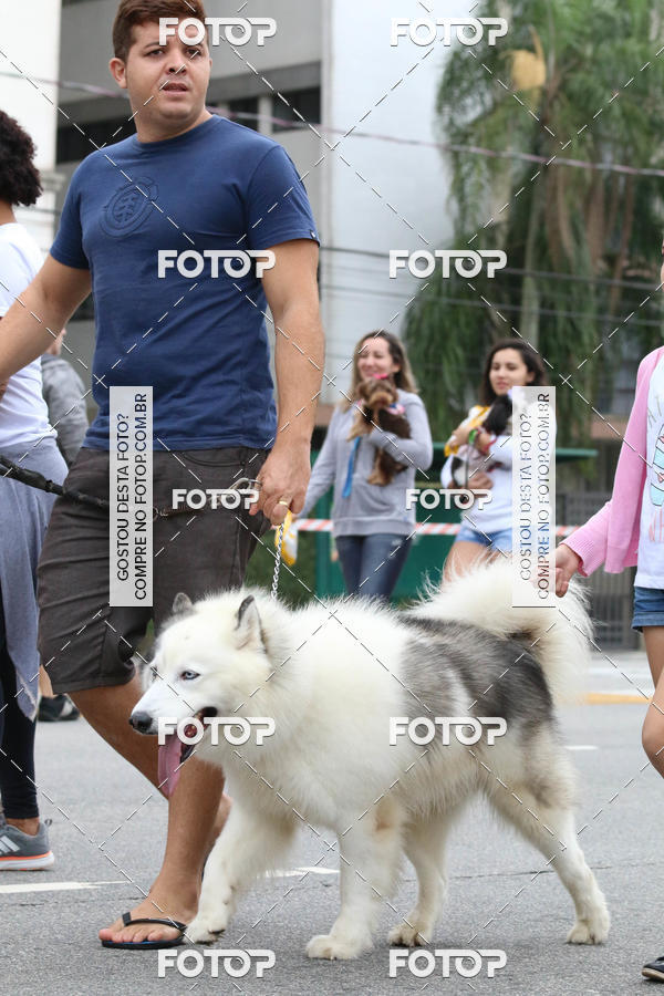 Buy your photos of the event13� C�ominhada - Santos on Fotop