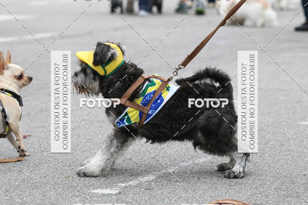 Buy your photos of the event13� C�ominhada - Santos on Fotop