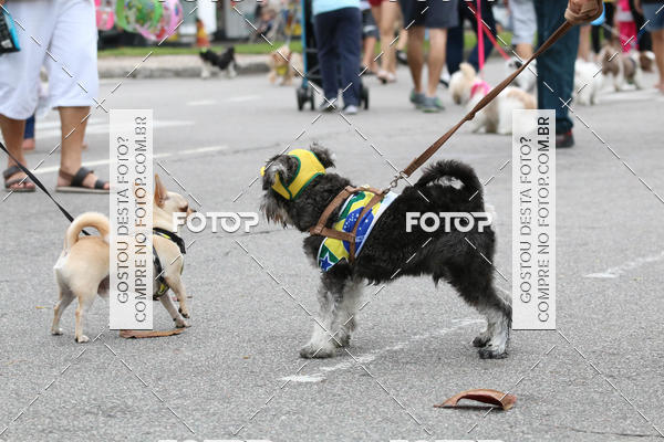 Buy your photos of the event13� C�ominhada - Santos on Fotop